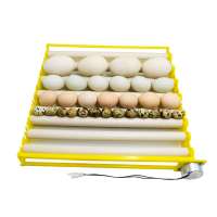 Hatching eggs Incubator Malaysia Incubator 156 Quail Egg Tray for sale Made In China