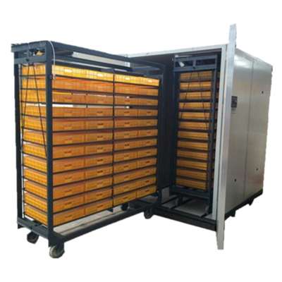 colorful steel plate exterior structure chicken 30000 quail egg incubator with 2 trolleys