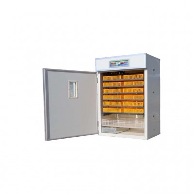 Various Styles poultry farm use parrot incubator