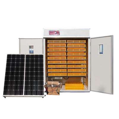 Solar egg incubator combined setter and hatchery of 3000 egg capacity